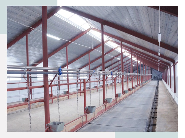 Строительство коровников в Переславле-Залесском от 623 руб.