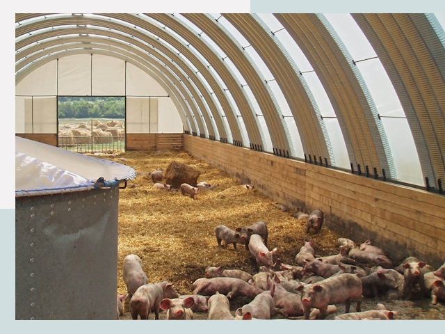 Строительство свинарников в Переславле-Залесском