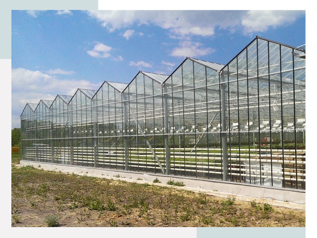 Строительство теплиц в Переславль-Залесский от 623 руб. за м²